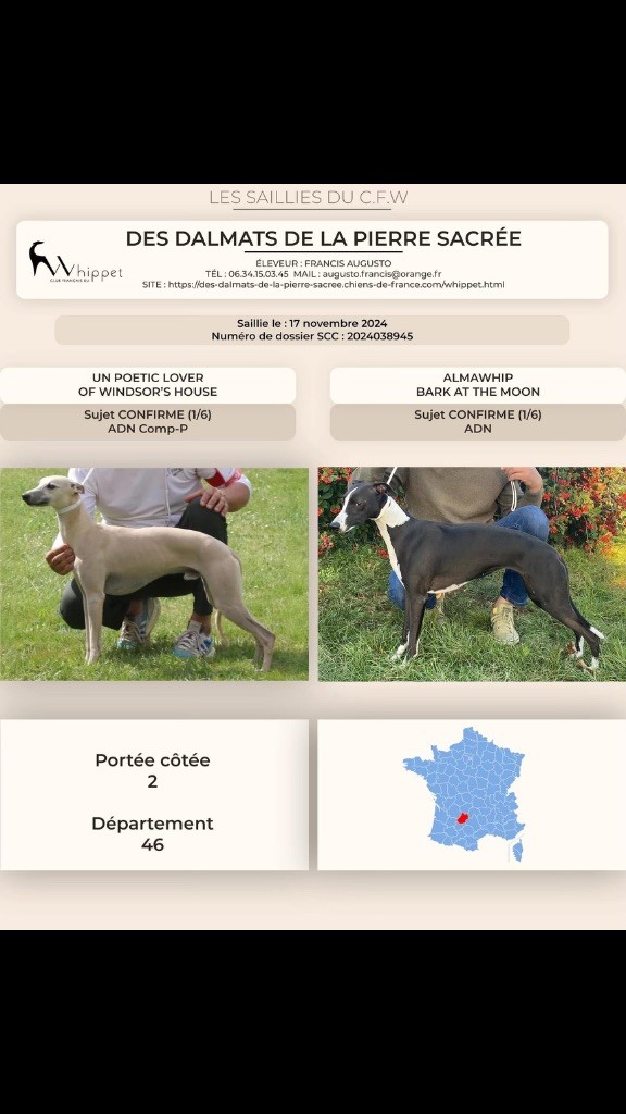 Des chiots chez nous pour janvier 